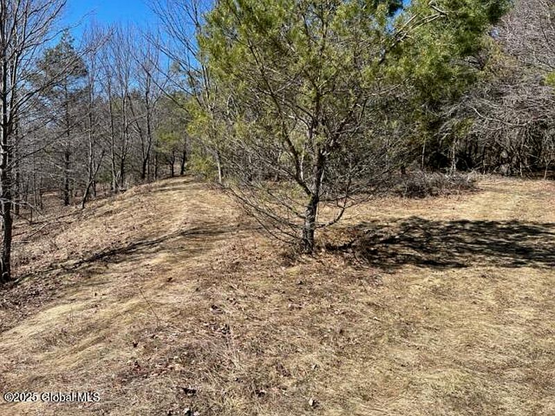 5th image of L1.13 Off Rossman Fly Road