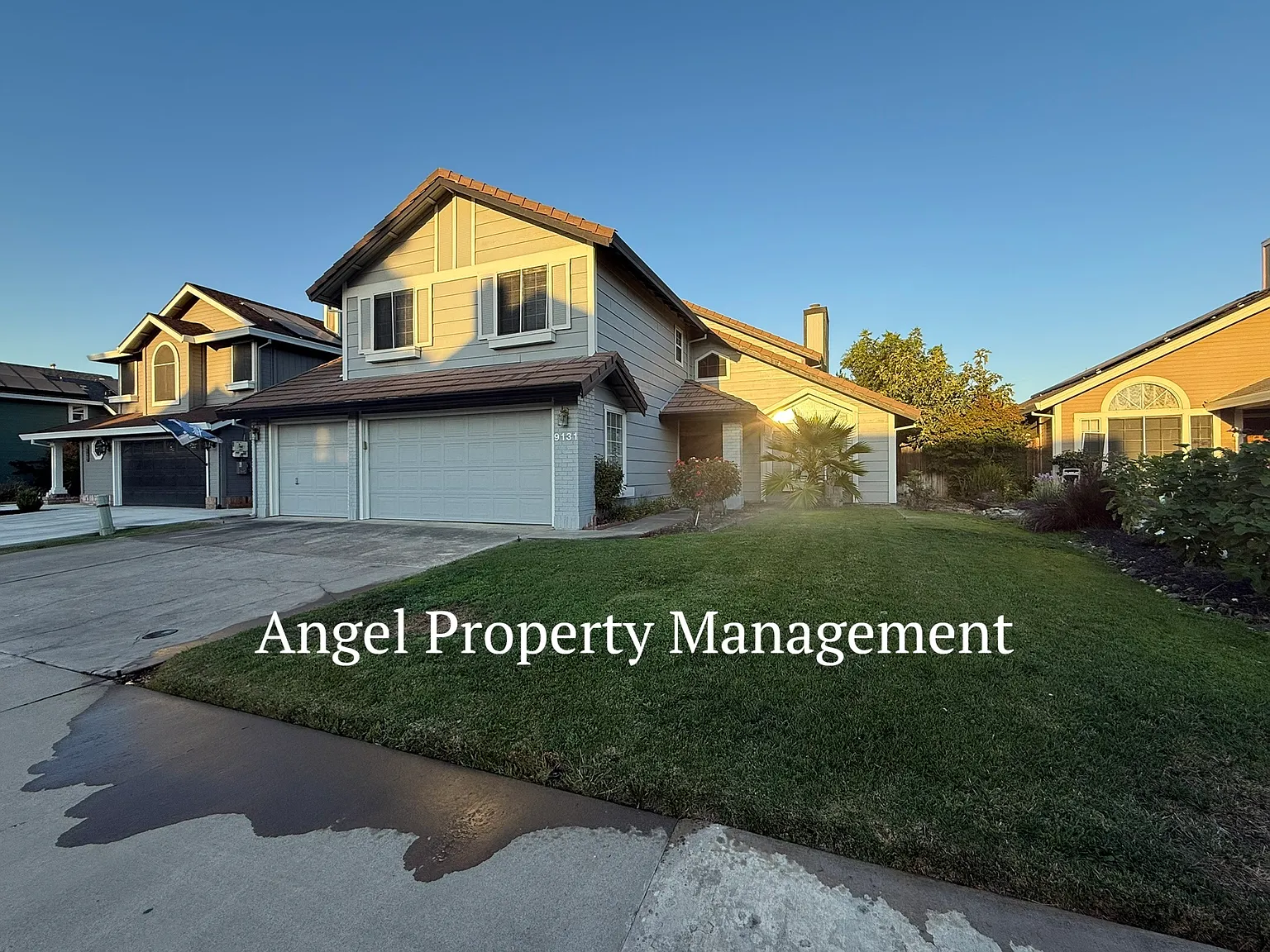 9131 Brienne Way photo 1