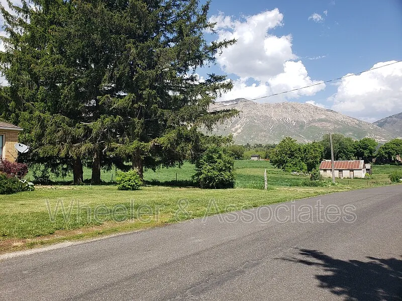1 bed, 1.0 bath, 700 sqft, $895 — Photo 3