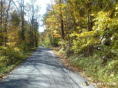view of rural country road in spring