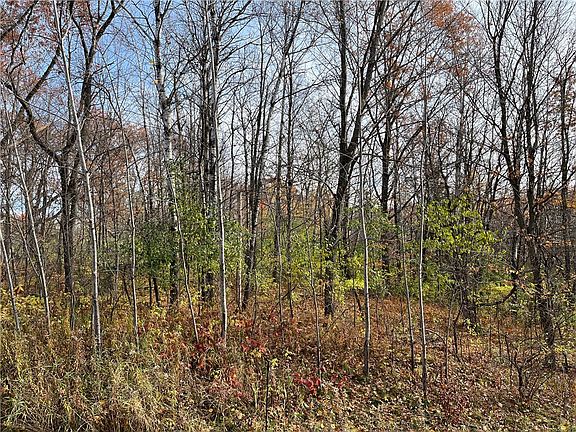 2nd image of LOT 1 Wilderness Hills Lane