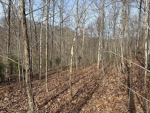 4th image of 216 Happy Hollow Rd