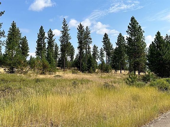 3rd image of 39 Bighorn Bluff Loop