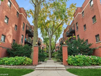 5919 N Paulina St APT 1W, Chicago, IL, 60660