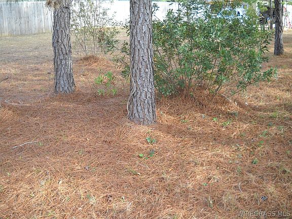 3rd image of LOT 2 Sandy Hills Ct