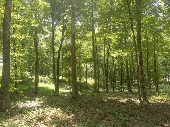 123 County Road 5, Calhoun, TN 37309