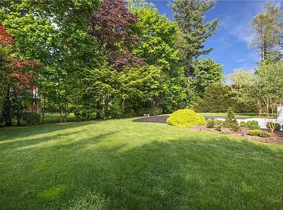 View of the lush backyard from the deck.