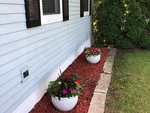 Flowers in front of house