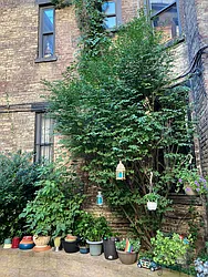 Rented by Marino Real Estate