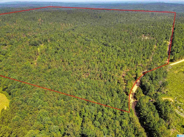 0 County Road 465 #1, Clanton, AL 35046
