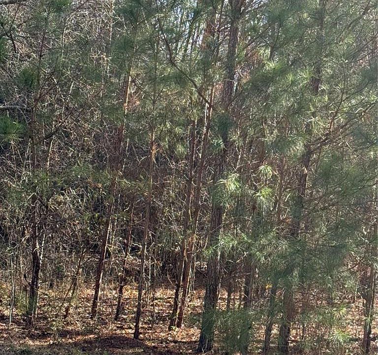 1st image of 13905 Brown Bridge Rd