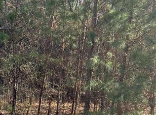 13905 Brown Bridge Rd, Covington, GA 30016