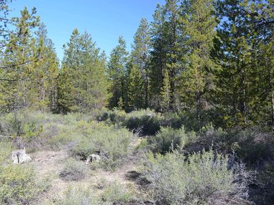 Forest Service Rd, Gilchrist, OR, 97737