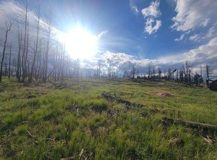 582 Leslie Loop, Fort Garland, CO 81133