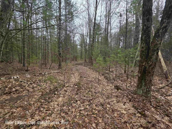 5004 E Shore Dr, Alger, MI 48610