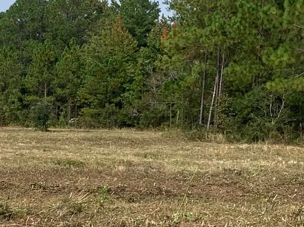 782 SW Sisters Welcome Rd, Lake City, FL 32025