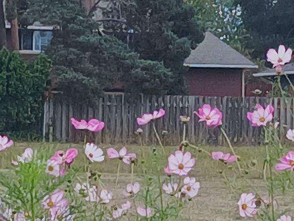 2nd image of 18715 NW Lapine St