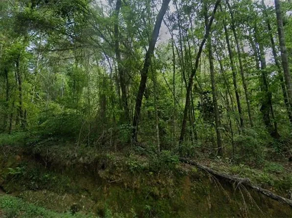 Old Uneedus Rd, Loranger, LA 70446