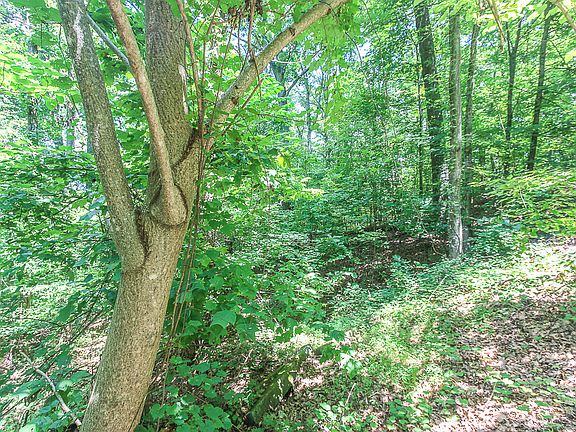 2nd image of 2273 Duck Cove Dr