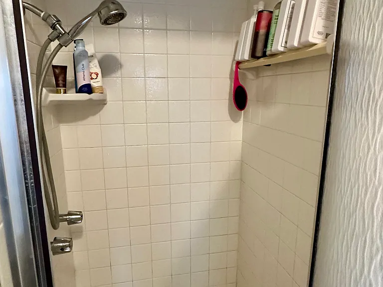 Primary shower stall with garden tub