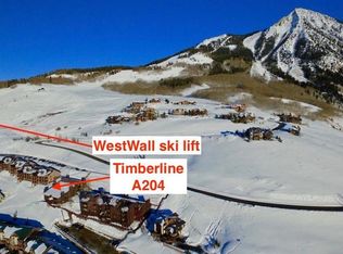 60 Hunter Hill Rd #A204, Crested Butte, CO 81225