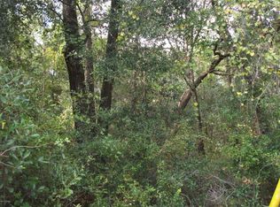 2832 Blackberry Ave, Middleburg, FL 32068