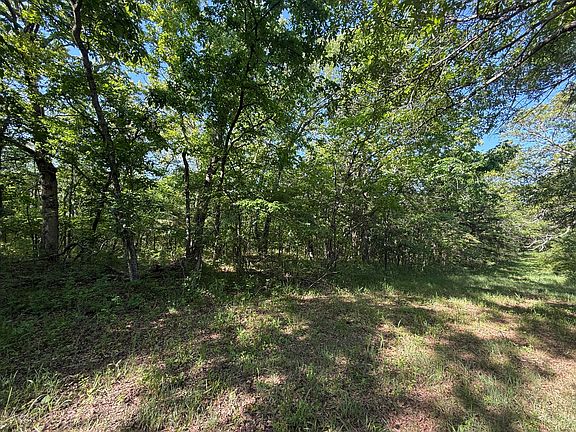 3rd image of Tbd County Road 203