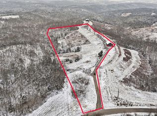 1729 Pinhook Rd, Mount olivet, KY 41064