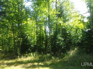 Tbd Strang Rd, Ontonagon, MI 49953