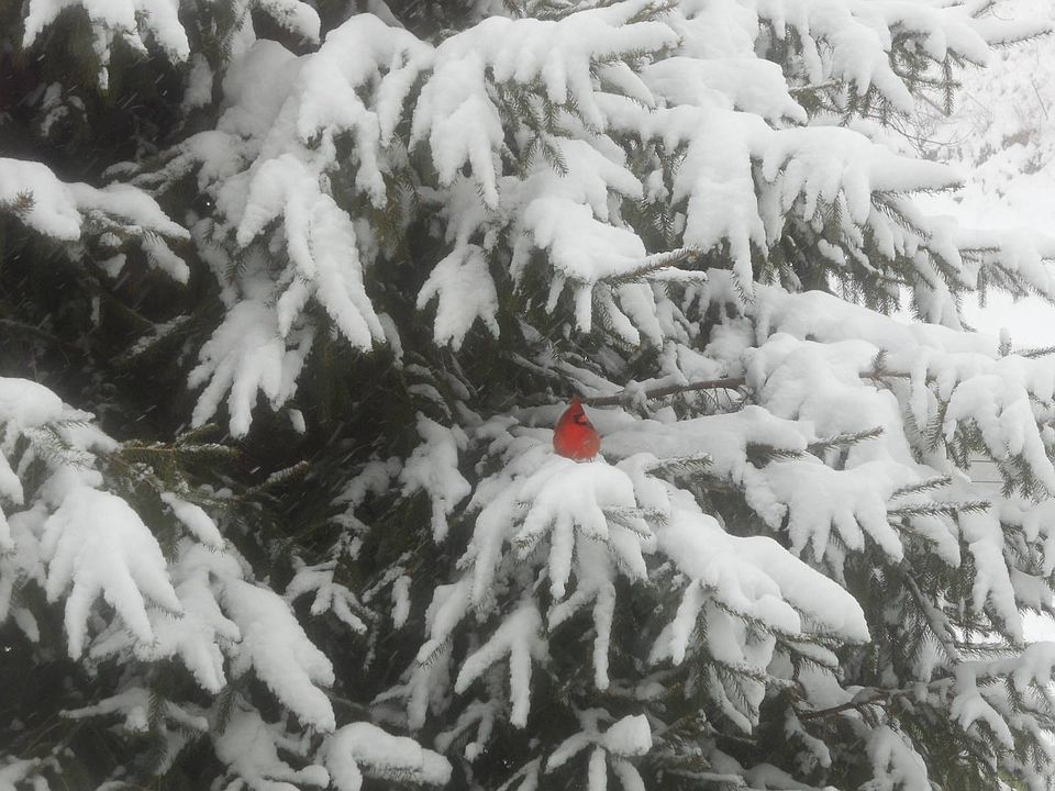 16th image of this home