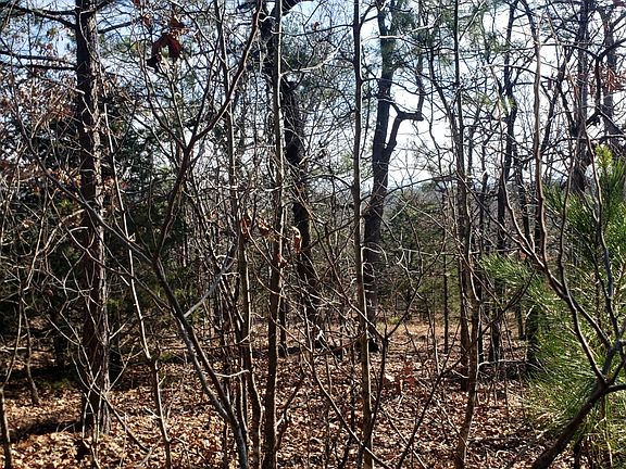 2nd image of 000 Wren Ln