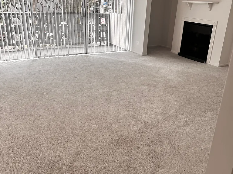 203 Montana Ave #101 — Photo 5