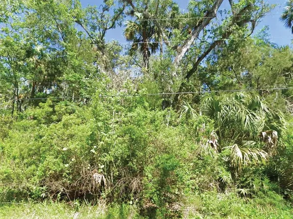 10243 W PALMETTO STREET LOT 7, HOMOSASSA, FL 34448