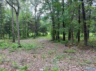 3 Ghost Hill Rd, Trinity, AL 35673