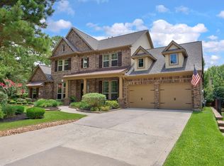 14 Dewlight Pl, Magnolia, TX 77354