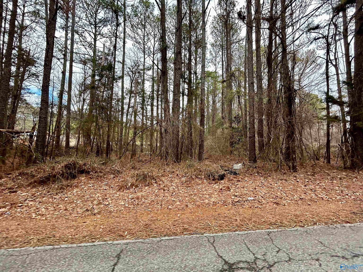 Airport Rd, Laceys Spring, AL 35754 | Zillow