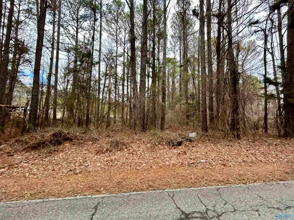 Airport Rd, Laceys Spring, AL 35754