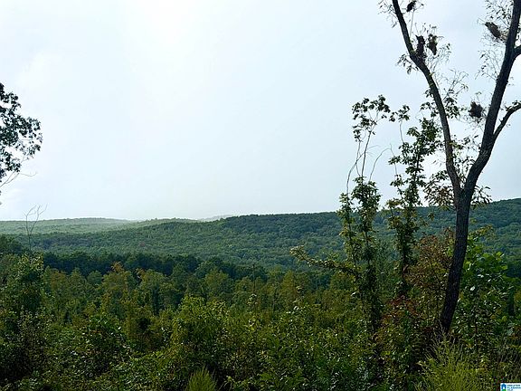 4th image of 0 Nubbin Creek Rd #1