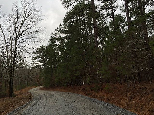 1st image of 44.03 AC Lakeshore Estate Drive