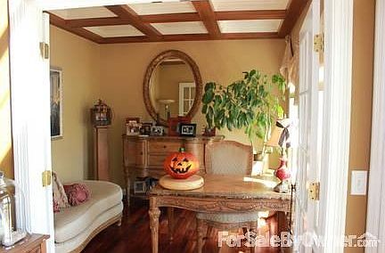 Den with Decorative Ceiling