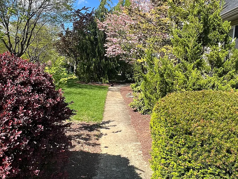 2386 Dubonnet Dr — Photo 3