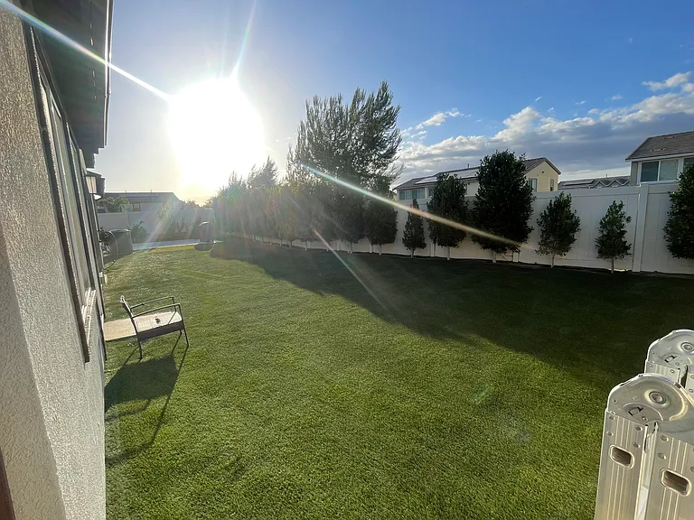 29646 Saddlebred Cir — Photo 31
