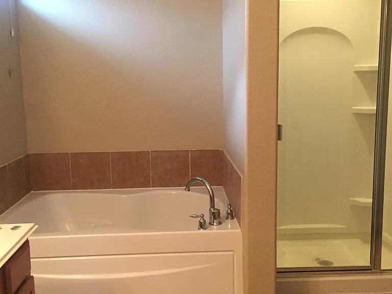834 Honeysuckle Vine Dr — Photo 13