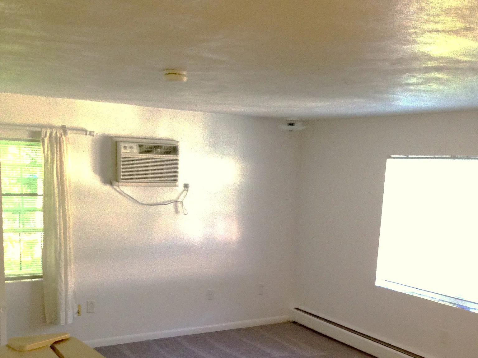 Studio, 344 sqft, $1,730 — Photo 1