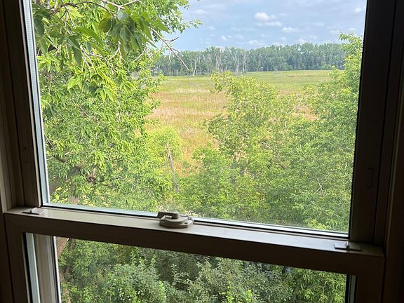 View of Bass Lake Nature Preserve from the bedroom