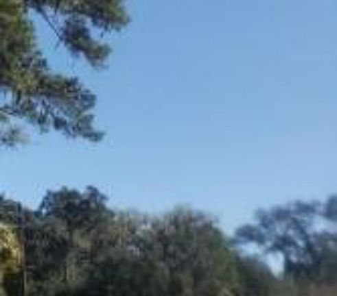 Exterior Neighborhood (street photo)