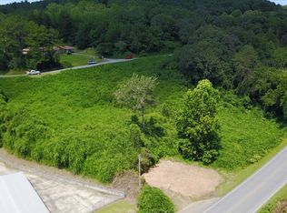 743 Toccoa Ave, Mineral Bluff, GA --