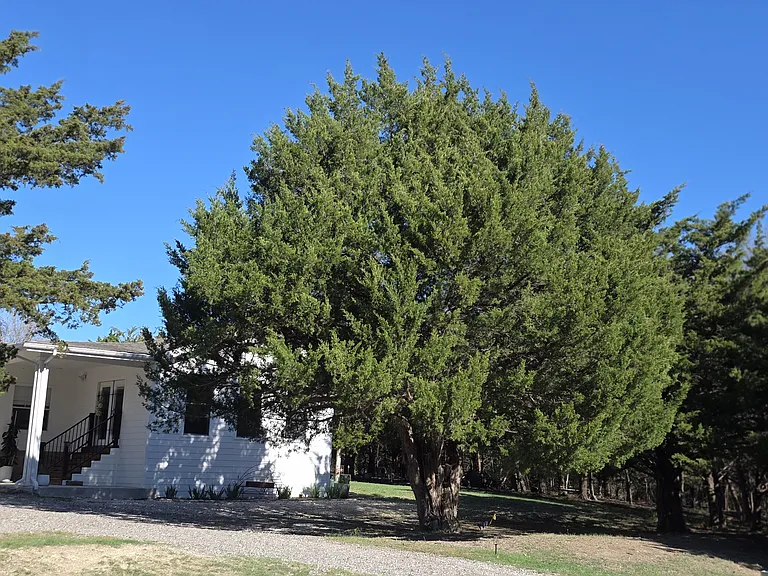 Oak Creek Dr — Photo 42
