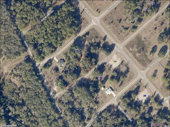 Sequoia Drive Ct Lot 4, Ocklawaha, FL 32179