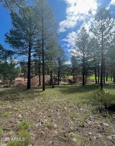 3666 S Woodland Hills Dr #379, Flagstaff, AZ, 86005